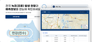 녹조(조류)정보